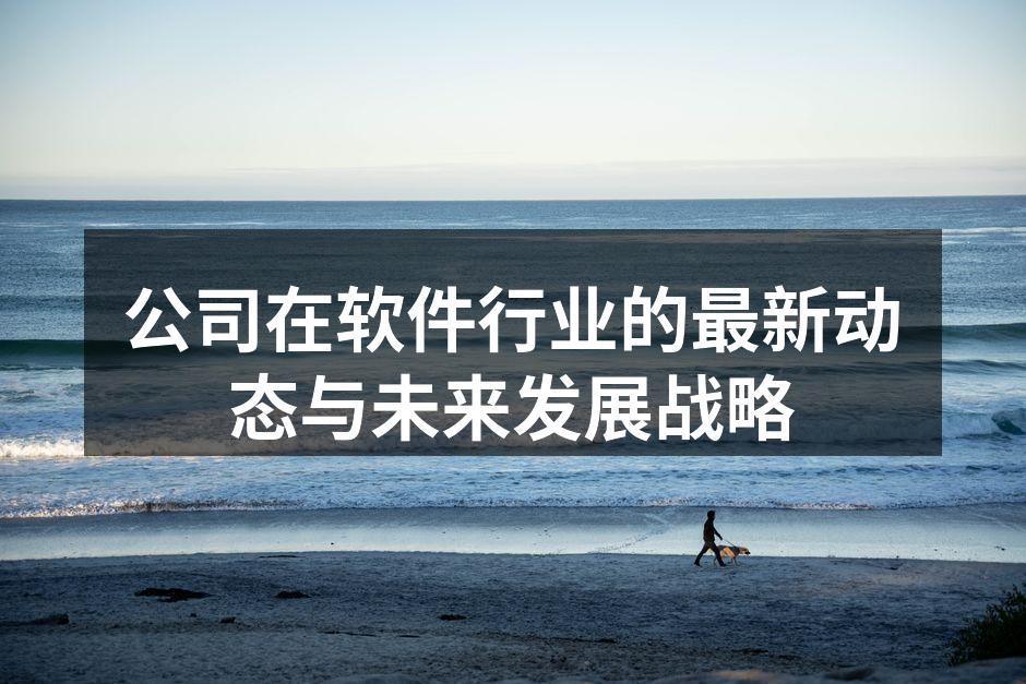 公司在软件行业的最新动态与未来发展战略