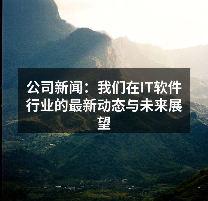 公司新闻:我们在IT软件行业的最新动态与