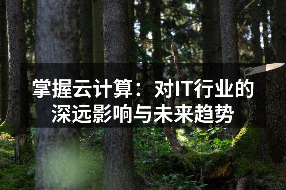 掌握云计算:对IT行业的深远影响与未来趋